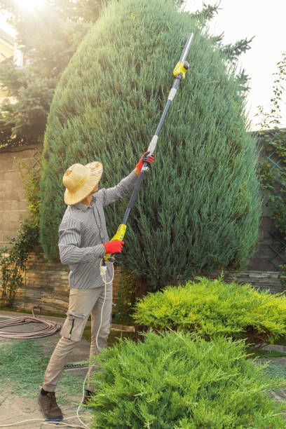 Artificial Turf Installation in Bessemer, AL